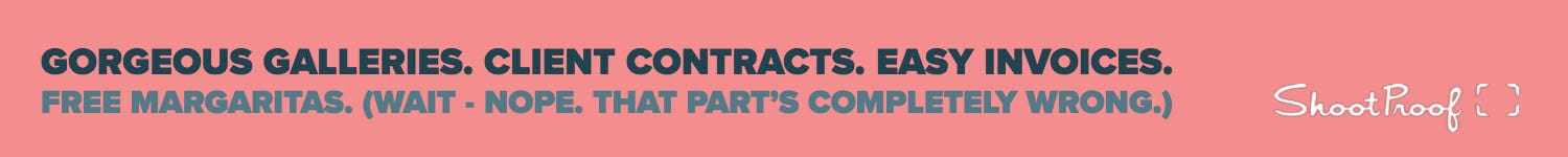 Gorgeous online galleries. Client contracts. Easy invoices.