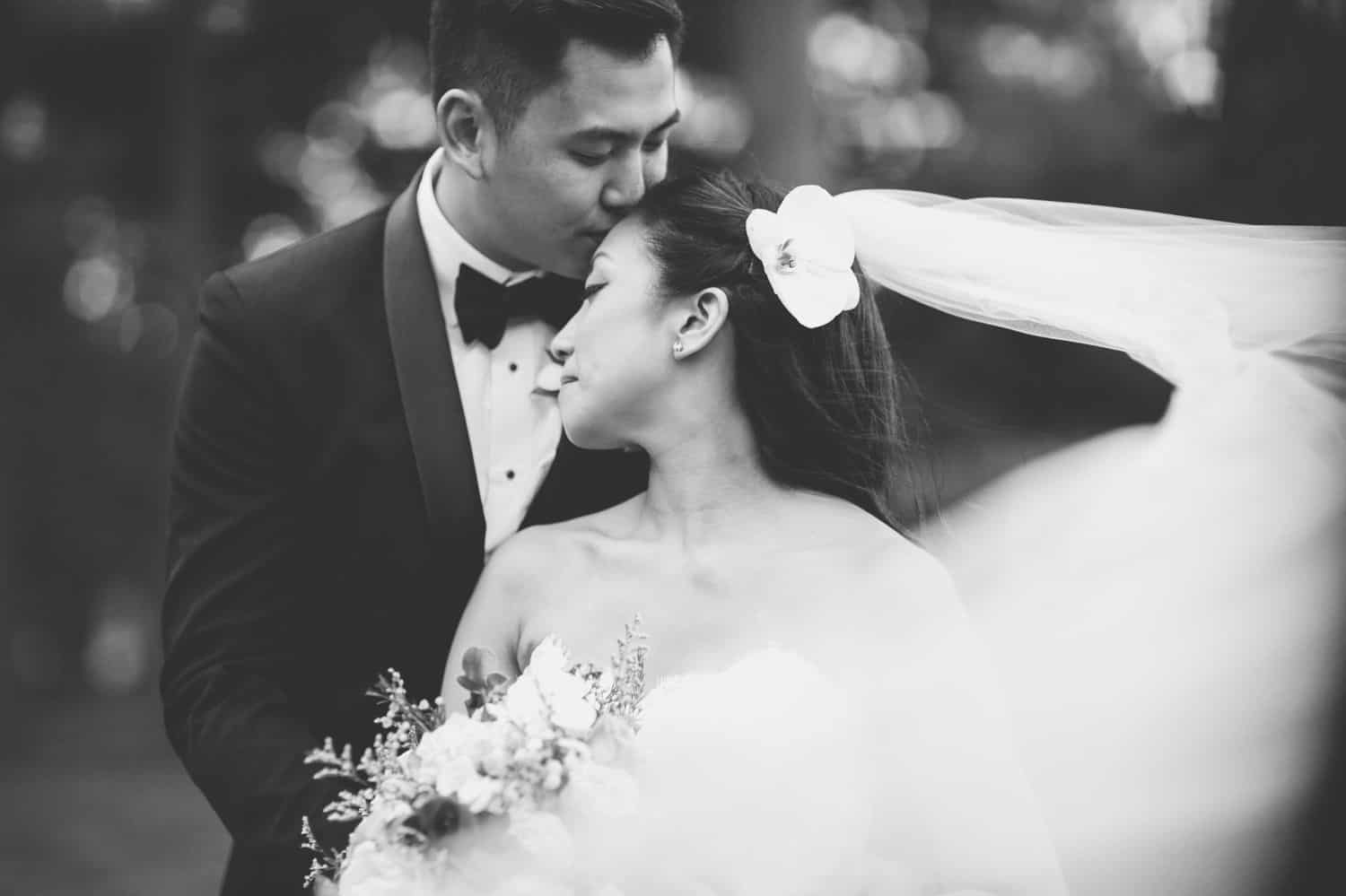 Black and white photo of bride and groom. Groom is kissing bride on forehead as her veil blows in the wind. By Harris & Co.