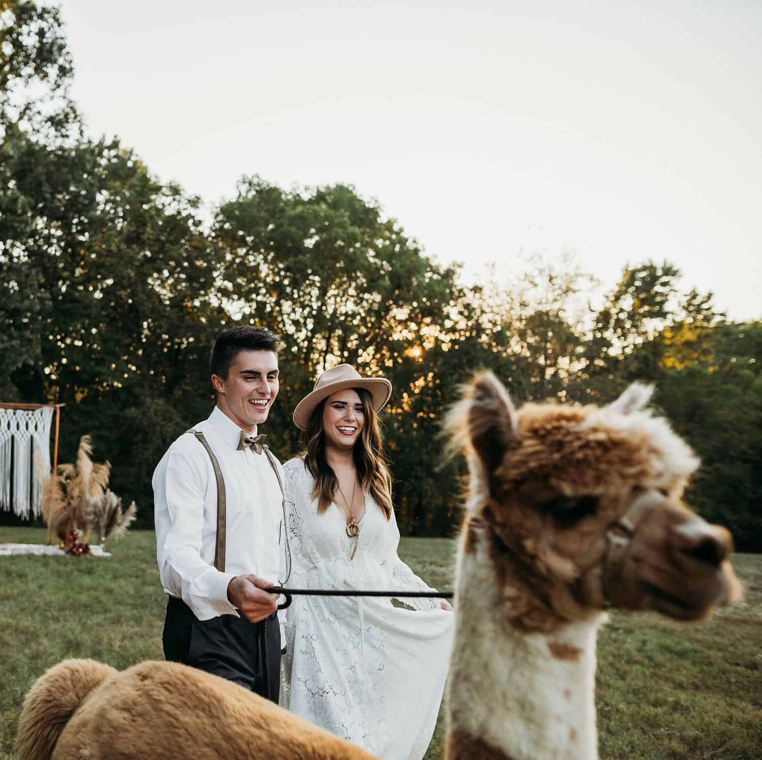 A boho bride and groom walk through a field with an alpaca on a leash