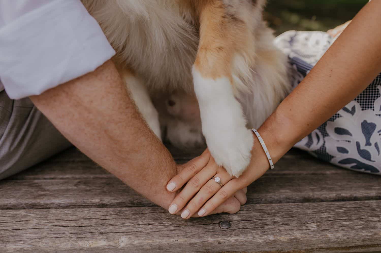 See how dog photography can enhance your portrait and wedding images. Your clients will love adding their furry family member to their next session!
