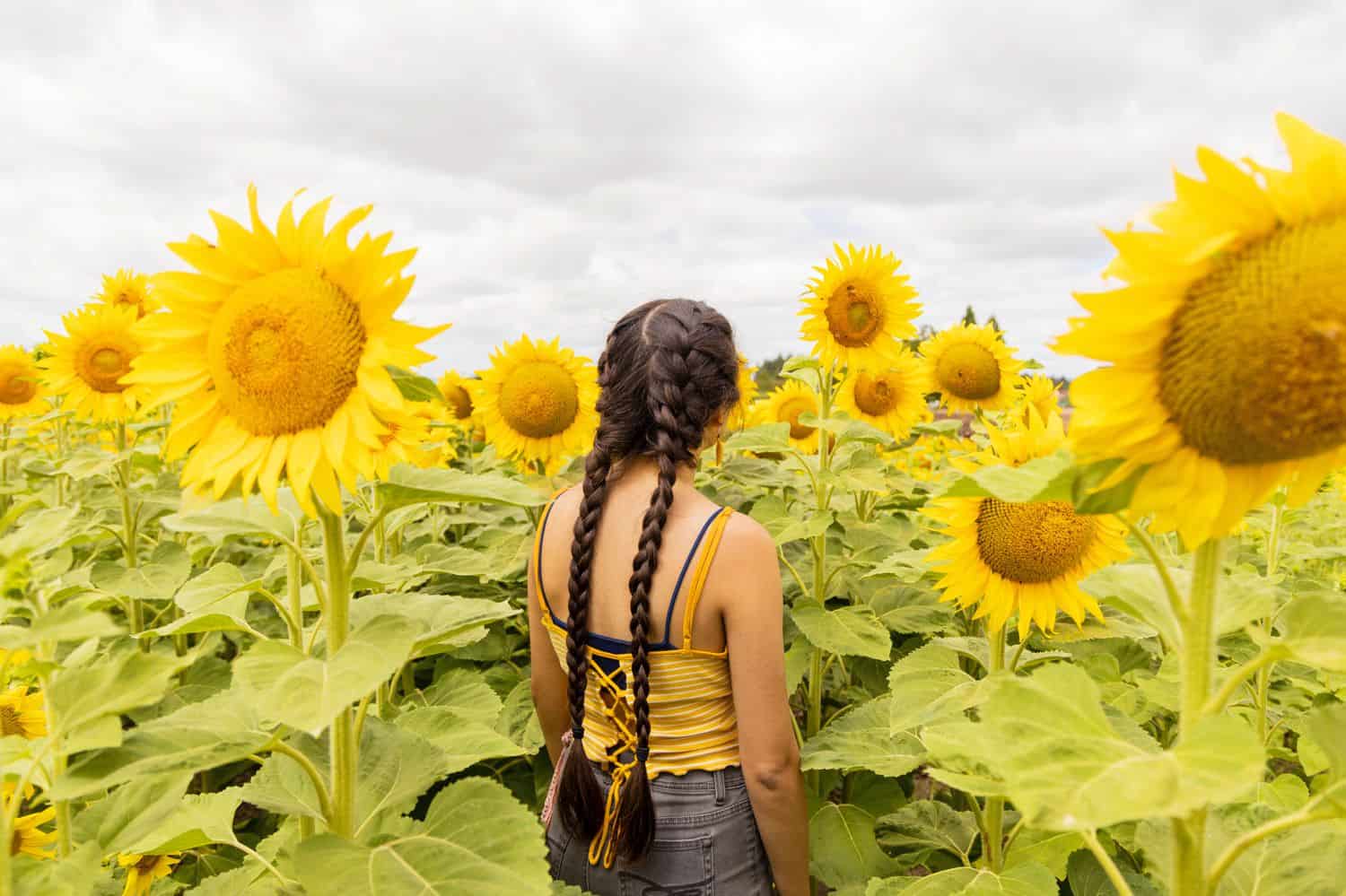 A young woman with waist-length braids is photographed in a sunflower field by photographer Sofia Angelina