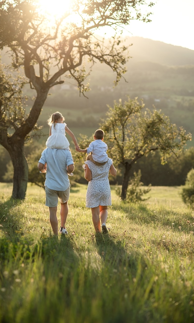 A family of four is seen from the back, walking through a grassy field towards a sunlit landscape, with the two children riding on their parents' shoulders and holding hands. The scene evokes a sense of warmth and togetherness in a natural setting.