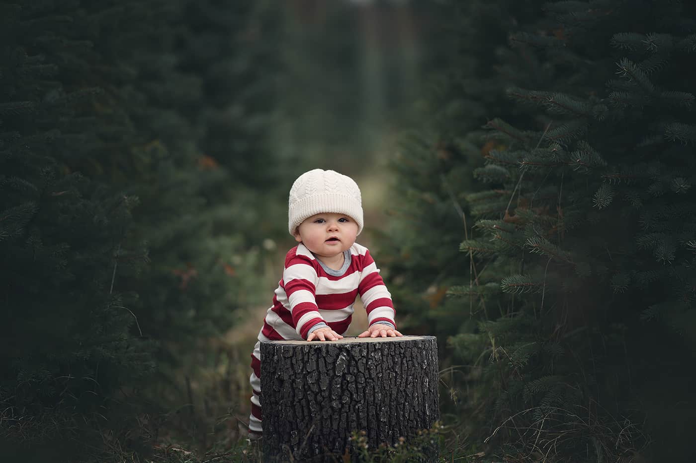 30 Photographers With Cheers-Worthy Reasons To Celebrate