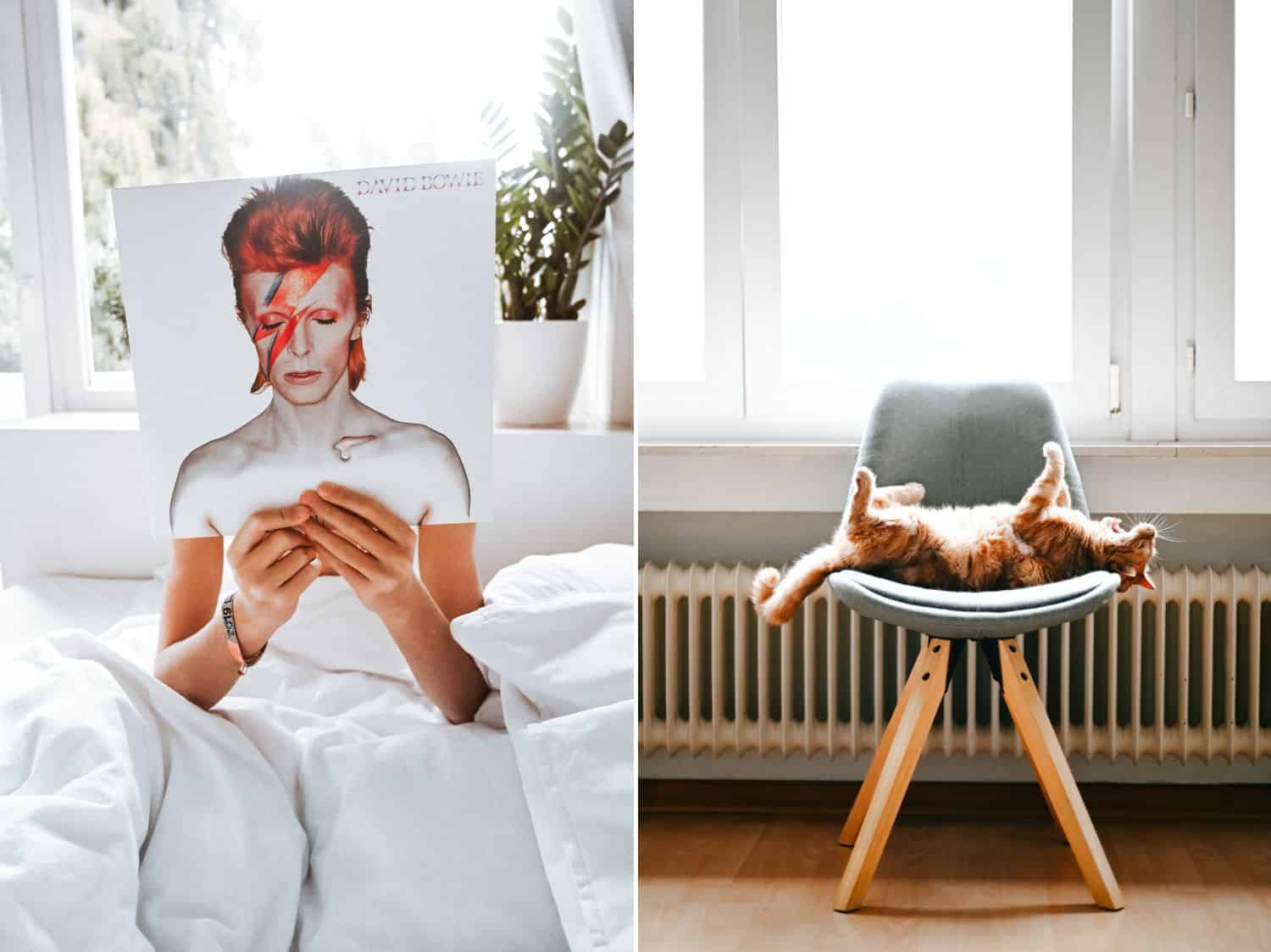 A person holds a David Bowie record album in front of their face. A cat sprawls on its back in a chair before a window.