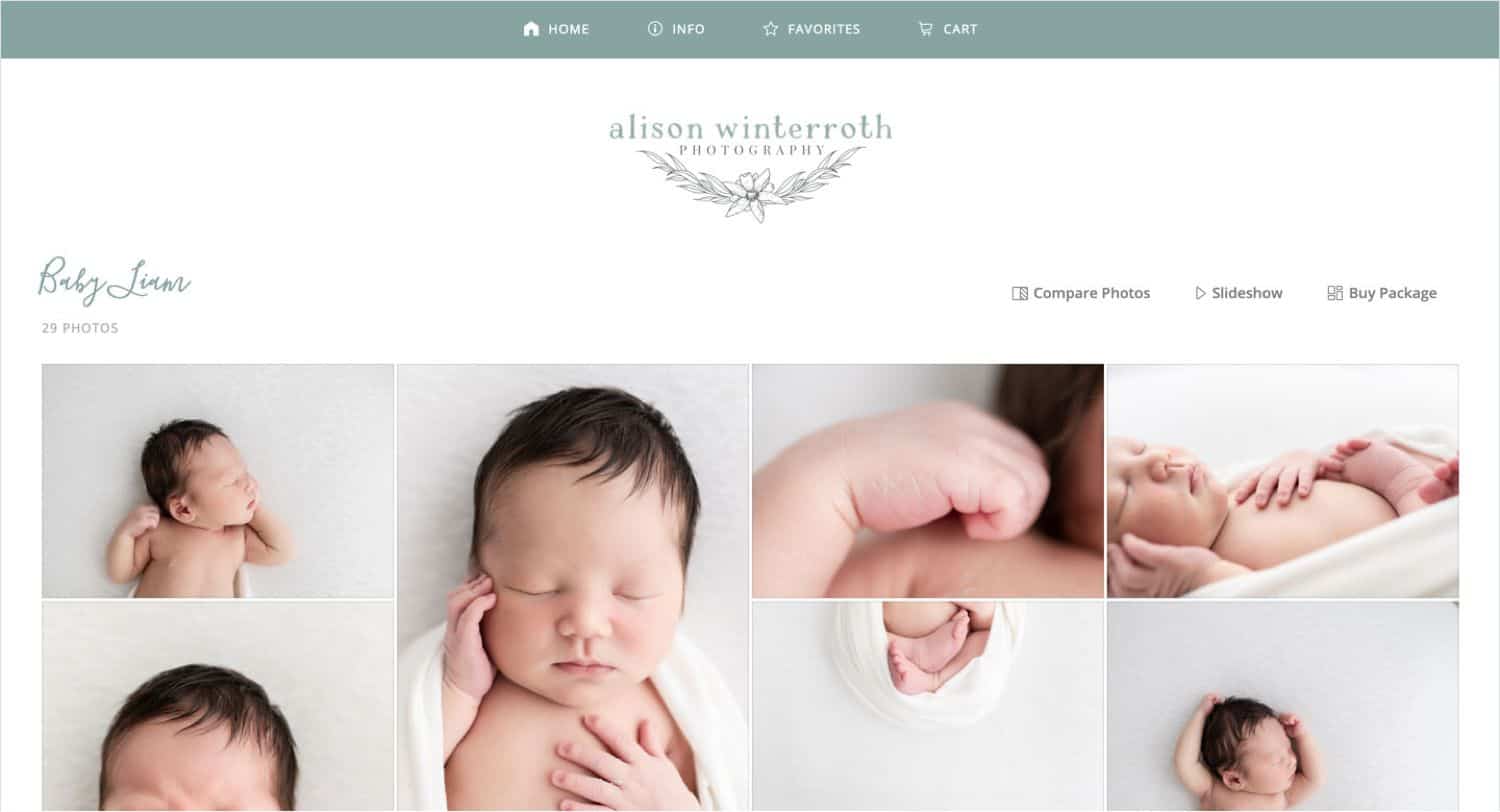 Alison Winterroth's ShootProof Gallery Helps Her Sell Photography Packages Online!