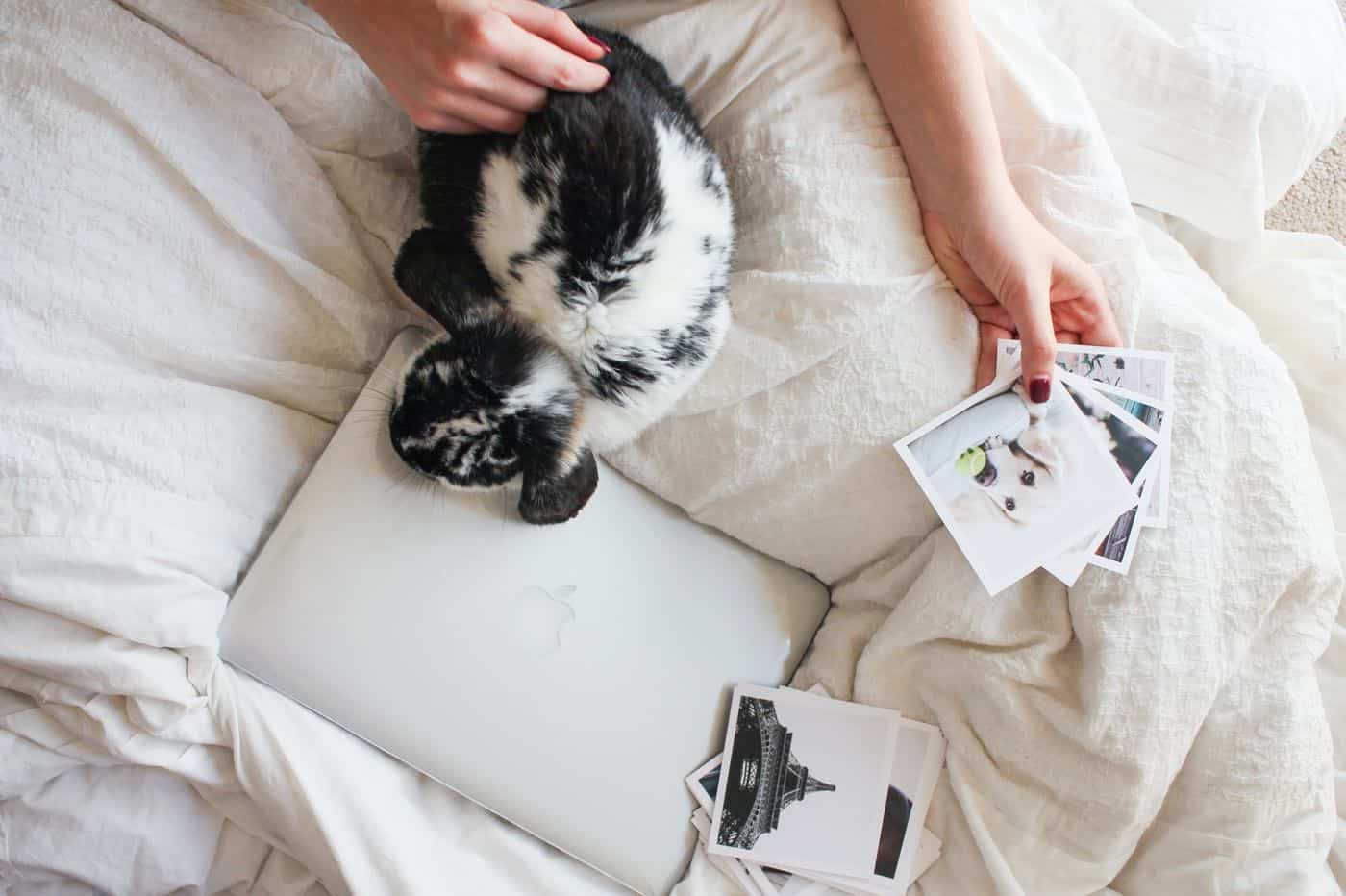 How To Get The Most $$$ Out Of Your ShootProof Galleries