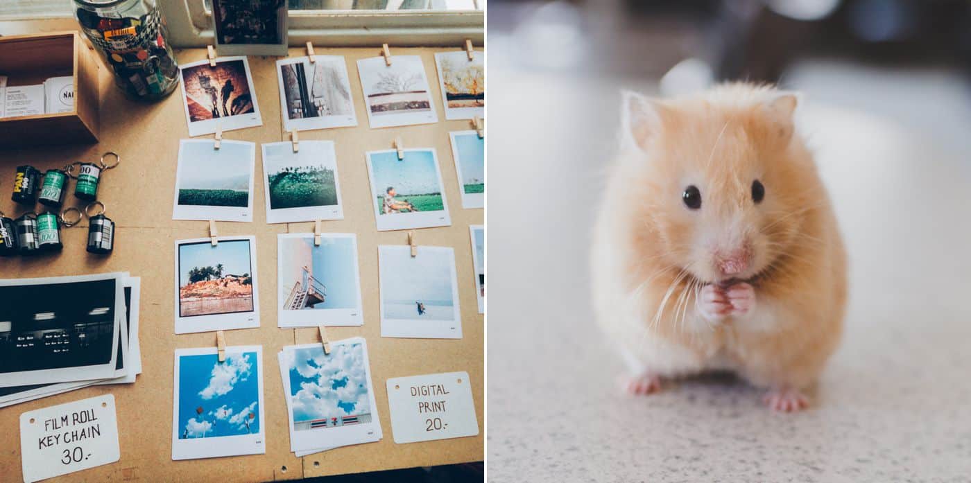 How To Get The Most $$$ Out Of Your ShootProof Galleries