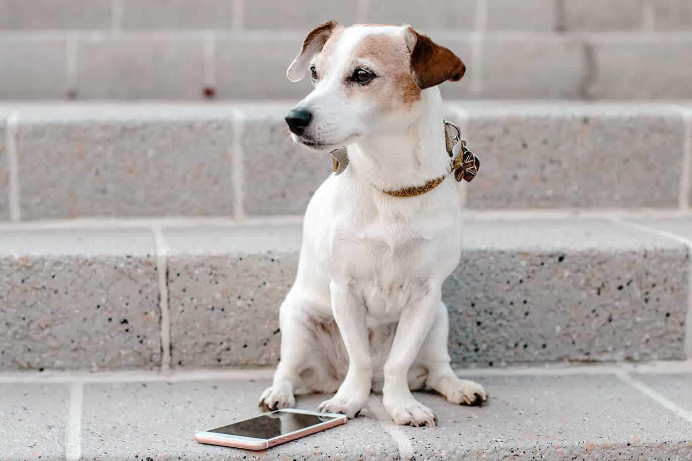 Put away those fancy business cards. We have something better! This simple, FREE photography marketing tool is sure to turn your customers into brand ambassadors.